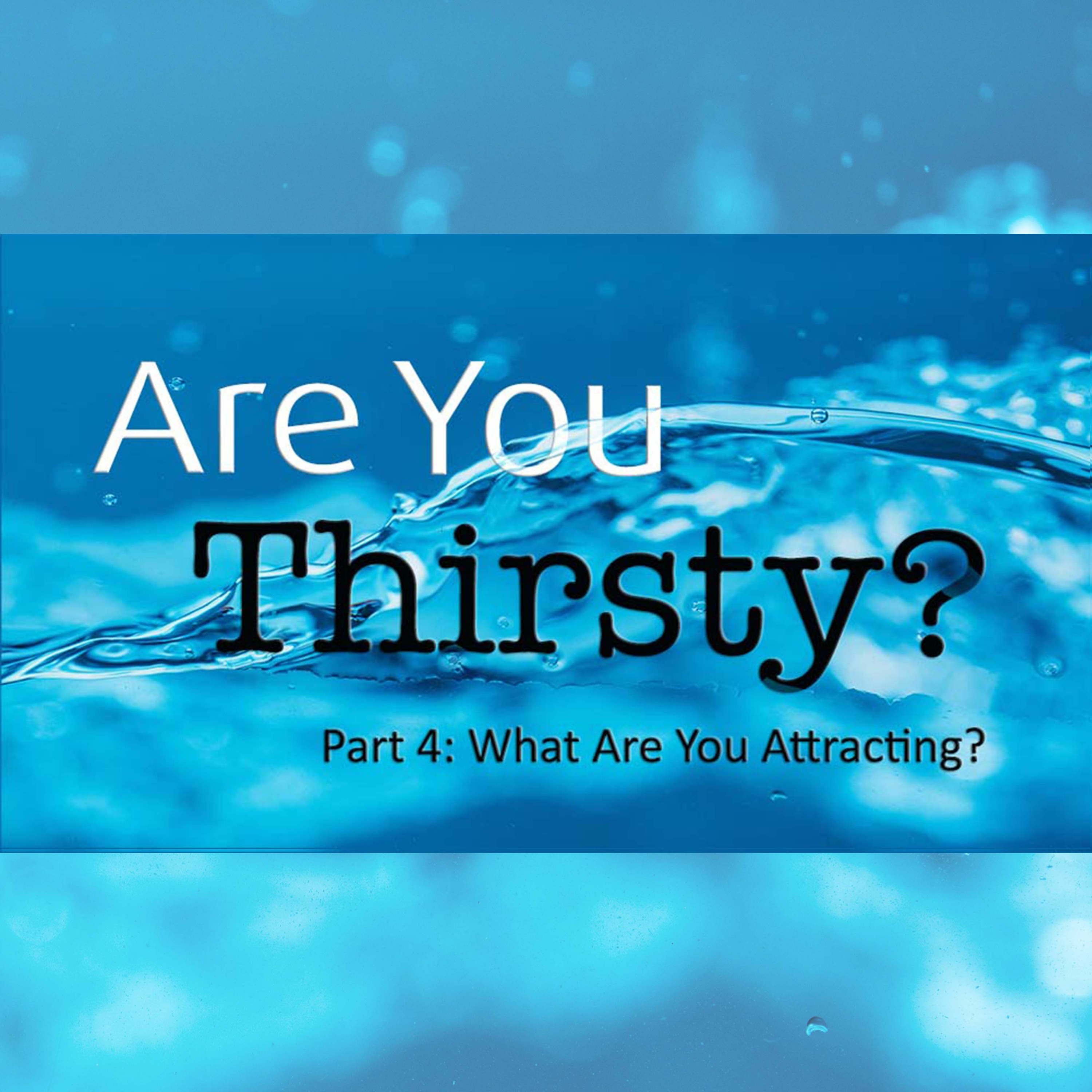 Part 4: What Are You Attracting?