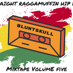 Straight Raggamuffin Hip Hop Mixtape Vol. 5