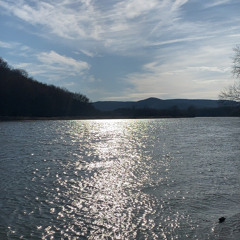 Old Fish dance- Ohiyo men 24’