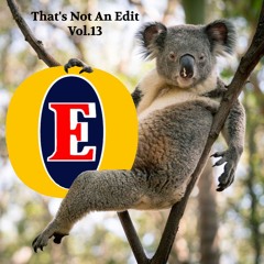That's Not An Edit Vol.13 Teaser mix