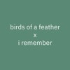 Tải video: Birds Of A Feather X I Remember (Bertinho Remix)