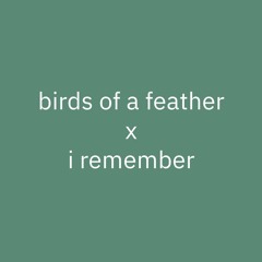 Birds Of A Feather X I Remember (Bertinho Remix)