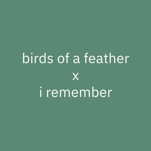 Birds Of A Feather X I Remember (Bertinho Remix)