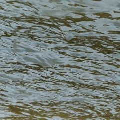 Technopol #50 - Peut-on vraiment se passer des réseaux sociaux (partie 2) - 16 Décembre 2025