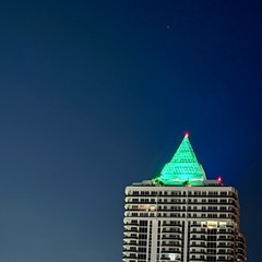 moonlit whisper