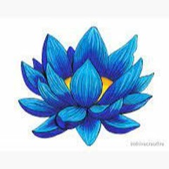 Geoff Cochrane From Blue Lotus Water Garden 22-Jan-24