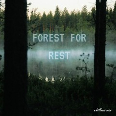 Forest Chill Mix 2022