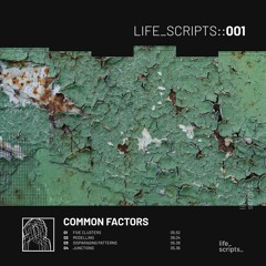 Premiere: Common Factors - Disparaging Patterns [Life Scripts]
