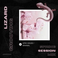 LIZARD GROOVING #002 - Spring Session