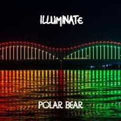 Vibe - Polar Bear
