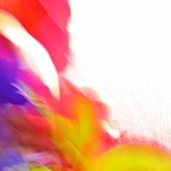 12.19.20 Notafluke 404