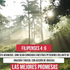 ROCA - Straight Up - Live at  @  Beverly Hills