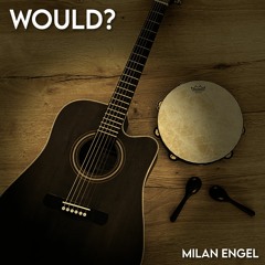 Alice In Chains - Would? (Acoustic Cover by Milan Engel)