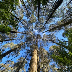 Grounding Energy