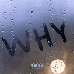 WHY?