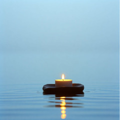 Mindfulness - Cognitive Dissonance