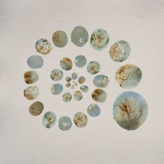 Portals / Outer Edges (Regrown)