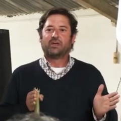 Rafael Bottaro - Precio del gasoil en Uruguay