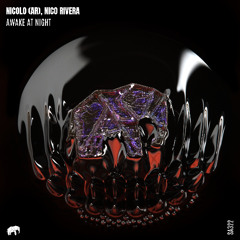 SA322: Nicolo (AR), Nico Rivera - Awake at Night