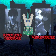Wild Flower Fire (Feat. Restless Meadows)
