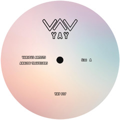 Various Artists - Analog Travellers EP
