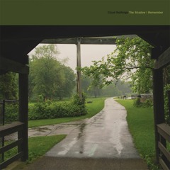 Cloud Nothings - "Nothing Without You"
