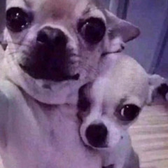 jayfvks x wuracca - throw it