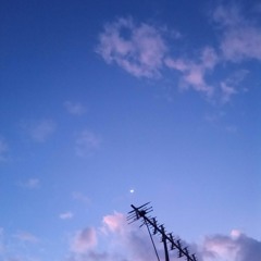 Aoi Teshima - Kokoro Wo Komete (こころをこめて) cover