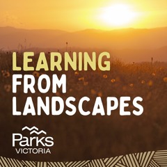 Episode 1 - What do Forest Fairies, drinking water and carbon sinks have in common?