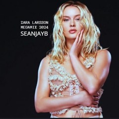 Zara Larsson Megamix 2024