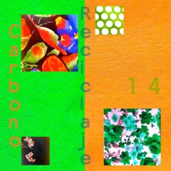Carbono 14 - Reciclaje