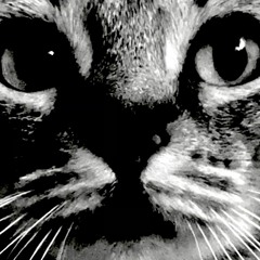 SAMEH CLEAR MOI LE MIDDLE !!!