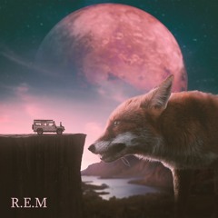 R.E.M feat. Birdee