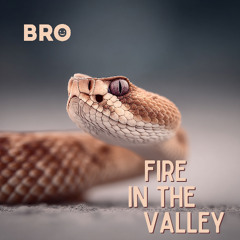 Fire in the valley