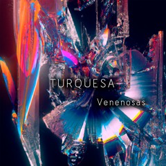 VENENOSAS (Original Mix)