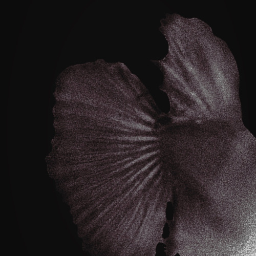 Josee ?(prod. Lil mander)