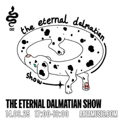 The Eternal Dalmation Show - Aaja channel 2 - 14 08 25