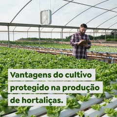Vantagens do cultivo protegido na produção de hortaliças