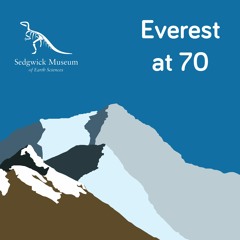Everest at 70 - The geology of the summit of Everest