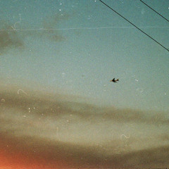 You (demo)