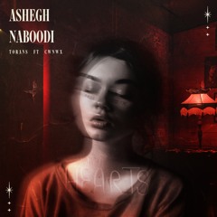 Ashegh Naboodi