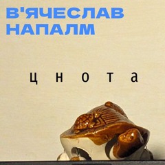 цнота