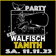 Walfisch11.11.23