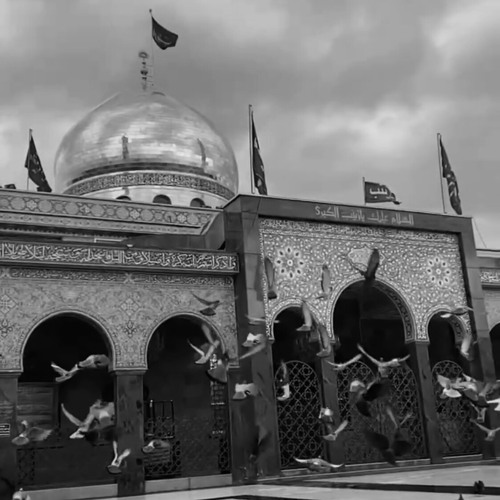 باسم الكربلائي - وزعيني أقبرا