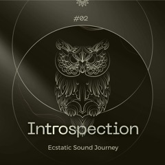 INTROSPECTION - ESJ#02