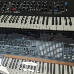 Korg Prologue 16 - Latched ARP