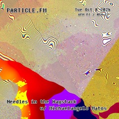 Needles in the Haystack w/ Michaelangelo Matos - Oct 8th 2024