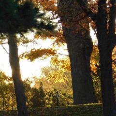 "Soleil d'automne", par Albert; Mixage, révision et sonorisation par Albert [lien vidéo]