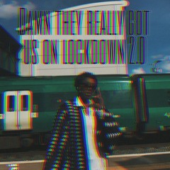 Damn they got us on lockdown 2.0