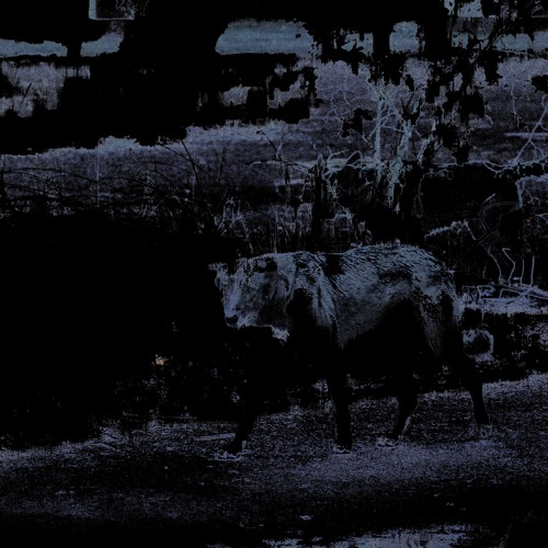 MNMT Premiere: Laima Adelaide – Ice Cave